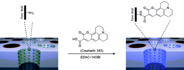 Graphical abstract: Amine-functionalized nanoporous thin films from a poly(ethylene oxide)-block-polystyrene diblock copolymer bearing a photocleavable o-nitrobenzyl carbamate junction