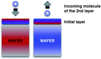 Graphical abstract: Slow and remanent electric polarization of adsorbed BSA layer evidenced by neutron reflection