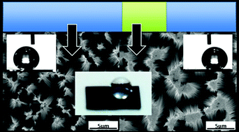 Graphical abstract: Modulation of surface wettability of superhydrophobic substrates using Si nanowire arrays and capillary-force-induced nanocohesion