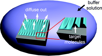 Graphical abstract: A novel methodology for systematic study on molecular release from microscale reservoirs