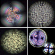 Graphical abstract: Towards tunable defect arrangements in smectic liquid crystal shells utilizing the nematic–smectic transition in hybrid-aligned geometries