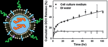 Graphical abstract: Organic–inorganic nanovesicles for doxorubicin storage and release