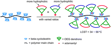 Graphical abstract: Thermoresponsive supramolecular dendronized copolymers with tunable phase transition temperatures