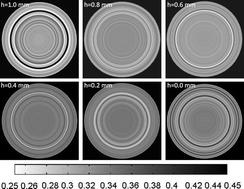 Graphical abstract: Internal microstructures in shearing giant electrorheological fluids