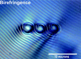 Graphical abstract: Colloidal particles at the interface between an isotropic liquid and a chiral liquid crystal