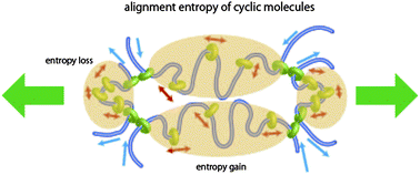 Graphical abstract: Mechanics of slide-ring gels: novel entropic elasticity of a topological network formed by ring and string