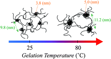 Graphical abstract: Effects of preparation temperature on swelling and mechanical properties of PVA cast gels
