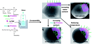 Graphical abstract: Order–order phase transition and transformation in co-assembled particles from fluorinated FA/FB type diblock copolymers