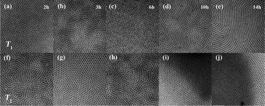Graphical abstract: Phase structural formation and oscillation in polystyrene-block-polydimethylsiloxane thin films