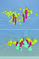Graphical abstract: Mimicking the receptor-aided binding of HIV-1 TAT protein transduction domains to phospholipid monolayers at the air–water interface