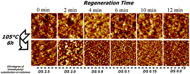Graphical abstract: Exploring the rearrangement of amorphous cellulose model thin films upon heat treatment