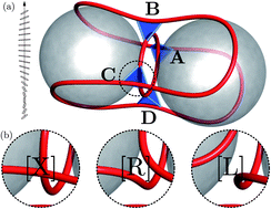 Graphical abstract: Stability and rewiring of nematic braids in chiral nematic colloids