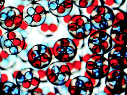 Graphical abstract: Single step emulsification for the generation of multi-component double emulsions