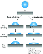 Graphical abstract: Understanding the drop impact phenomenon on soft PDMS substrates