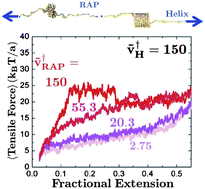 Graphical abstract: Designed molecular mechanics using self-associating polymers
