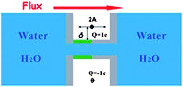 Graphical abstract: A vibration-charge-induced unidirectional transport of water molecules in confined nanochannels