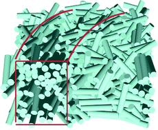 Graphical abstract: Alignment and dynamics of elongated cylinders under shear