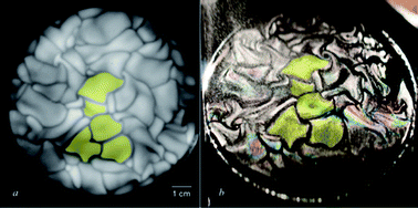 Graphical abstract: Spatially resolved evaporative patterns from water