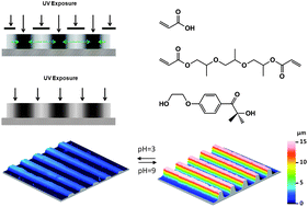 Graphical abstract: Single-composition three-dimensionally morphing hydrogels