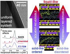 Graphical abstract: New insights into the multilevel structure and phase transitions of synthetic organoclays