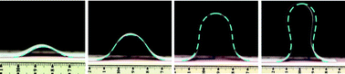 Graphical abstract: The ‘Sticky Elastica’: delamination blisters beyond small deformations