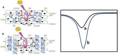Graphical abstract: Bionic radical generation and antioxidant capacity sensing with photocatalytic graphene oxide–titanium dioxide composites under visible light