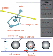 Graphical abstract: An ac voltammetry approach for the detection of droplets in microfluidic devices