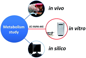 Graphical abstract: Determination of psychostimulants and their metabolites by electrochemistry linked on-line to flowing atmospheric pressure afterglow mass spectrometry
