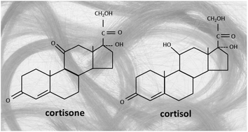 Graphical abstract: Measurement of cortisol and cortisone in children's hair using ultra performance liquid chromatography and tandem mass spectrometry