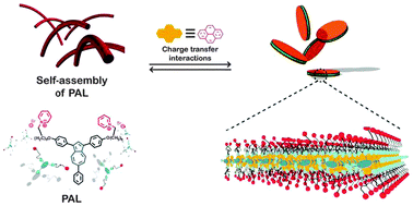 Graphical abstract: Supra-amphiphiles formed by complexation of azulene-based amphiphiles and pyrene in aqueous solution: from cylindrical micelles to disklike nanosheets