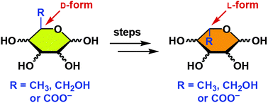 Graphical abstract: Synthesis of l-hexoses and their related biomolecules
