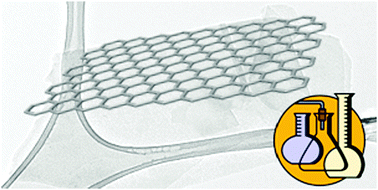Graphical abstract: The chemistry of pristine graphene