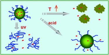 Graphical abstract: Multi-responsive nitrobenzene-based amphiphilic random copolymer assemblies