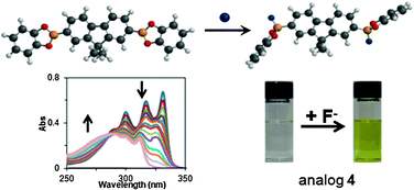 Graphical abstract: Conjugated bis and poly(dioxaborole)s for optical sensing of Lewis bases based on main-chain perturbations