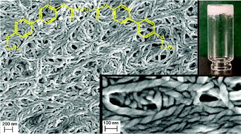 Graphical abstract: Physical gels made of liquid crystalline B4 phase