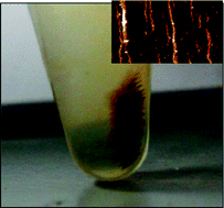 Graphical abstract: Magnetic field directed fabrication of conducting polymer nanowires