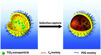 Graphical abstract: Janus micro-reactors