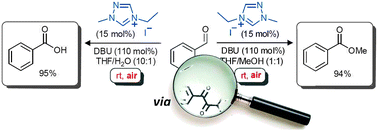 Graphical abstract: Aerobic oxidation of NHC-catalysed aldehyde esterifications with alcohols: benzoin, not the Breslow intermediate, undergoes oxidation