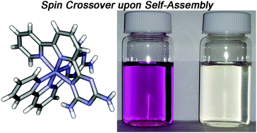 Graphical abstract: Spin state modulation of iron spin crossover complexes via hydrogen-bonding self-assembly