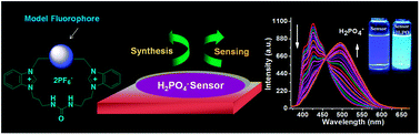 Graphical abstract: Novel benzimidazolium–urea-based macrocyclic fluorescent sensors: synthesis, ratiometric sensing of H2PO4− and improvement of the anion binding performance via a synergistic binding strategy