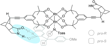 Graphical abstract: Hydrogen-bond mediated regio- and enantioselectivity in a C–H amination reaction catalysed by a supramolecular Rh(ii) complex