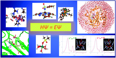 Graphical abstract: Computational modelling of oxygenation processes in enzymes and biomimetic model complexes