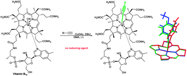 Graphical abstract: Reduction-free synthesis of stable acetylide cobalamins