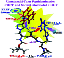 Graphical abstract: Triazolyl-donor–acceptor chromophore-decorated unnatural amino acids and peptides: FRET events in a β-turn conformation