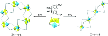 Graphical abstract: Chiral porous metal–organic frameworks from chiral building units with different metrics