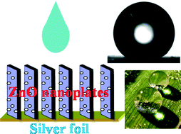 Graphical abstract: The fabrication of oriented ZnO porous nanoplates on the silver foil with tunable hydrophobicity