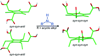 Graphical abstract: The role of secondary ammonium cations in controlling the conformation of C3-symmetric acid moieties and its implication for the design of supramolecular capsules