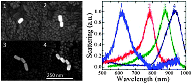 Graphical abstract: Surface plasmon coupling in end-to-end linked gold nanorod dimers and trimers