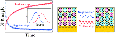 Graphical abstract: Ultraslow relaxation of the structure at the ionic liquid|gold electrode interface to a potential step probed by electrochemical surface plasmon resonance measurements: asymmetry of the relaxation time to the potential-step direction