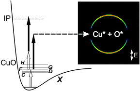 Graphical abstract: Imaging the photodissociation dynamics of neutral metal clusters: copper dimer, Cu2, and copper oxide, CuO